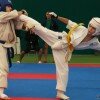 2011-karatekio-01[1]